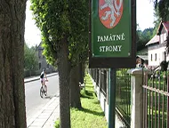 Památné stromy v Josefově Dole