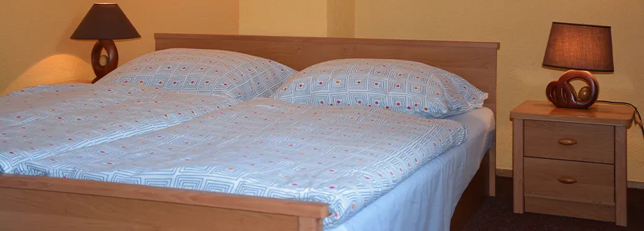 Dvoulůžkový pokoj s vlastní koupelnou – Hotel ADLER